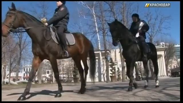 Конная полиция поздравила женщин на улицах Краснодара с 8 Марта смотреть онлайн