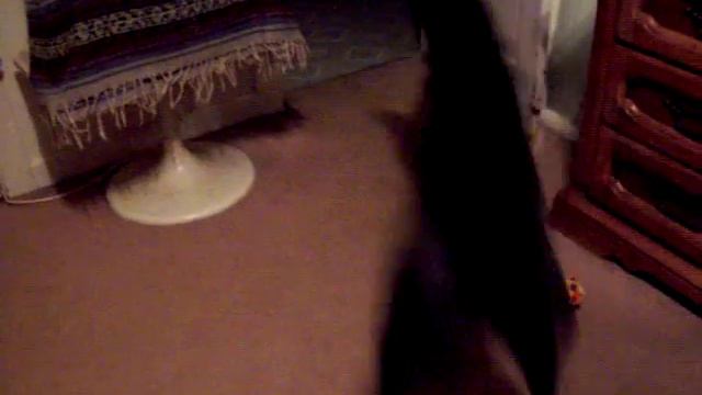 Greyhound vs the yellow monster смотреть онлайн