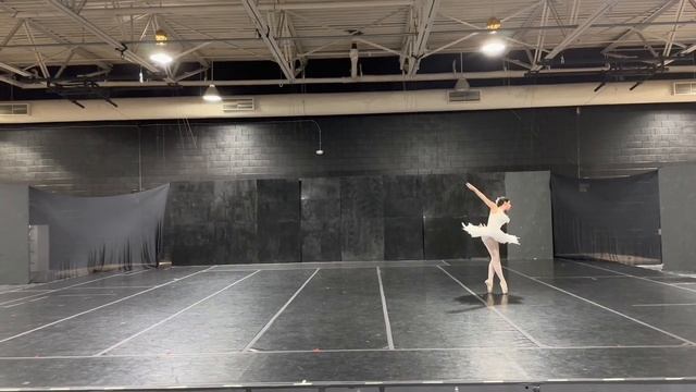 The Dying Swan смотреть онлайн