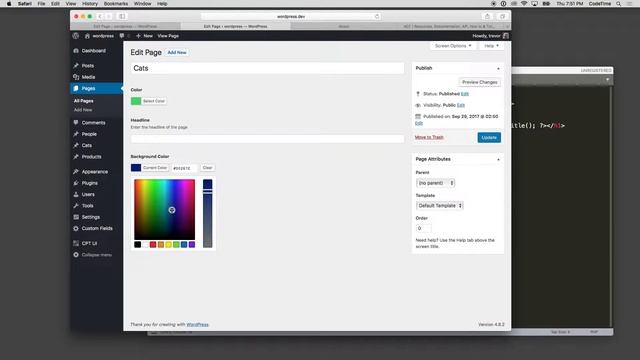 WordPress Advanced Custom Fields, Part 7: Applying More Options смотреть онлайн