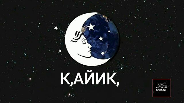 ТУШДА КАЙИК КУРСА...