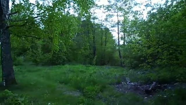 Военный городок Печи. Весной в березовой роще поют соловьи смотреть онлайн