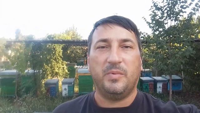 Матки инструментального осеменения на сезон 2024!!! смотреть онлайн