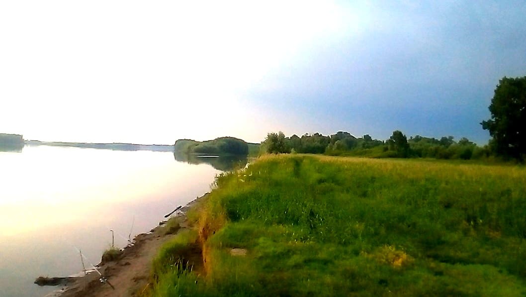 Рыбалка на оби на поплавок. смотреть онлайн