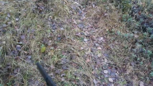 Охота на рябчика с самодельным манком смотреть онлайн