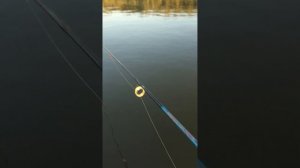 Эхолот Lucky Fihs Finder.Sounder FF Эхолот Лаки самый простой и понятный