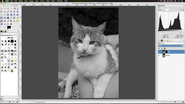 How To Do Colour Isolation (Colour Splash) With GIMP смотреть онлайн