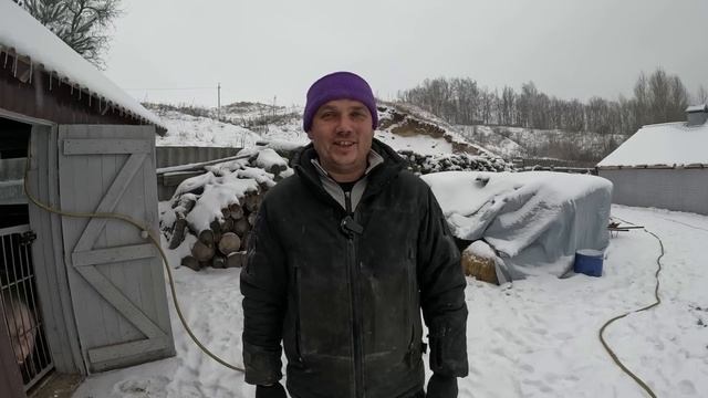 Генератор гудить,свині ростуть,Ангар стоїть,Тюлені ідуть, яма повна ...Так і живемо смотреть онлайн