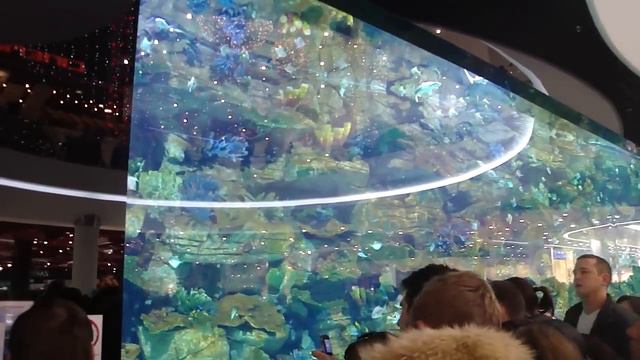 ТРЦ Ocean Plaza, Киев 12.2012 смотреть онлайн
