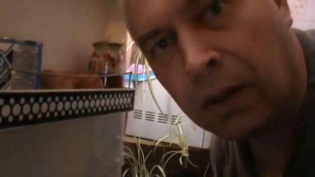 ВЫПУСК#1 Девочки вы упали) смотреть онлайн