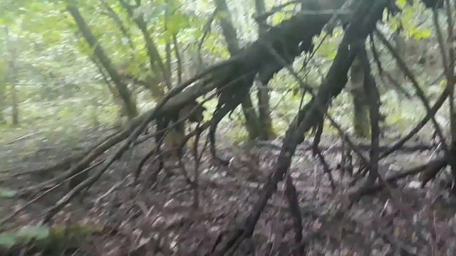 русская гончая смотреть онлайн