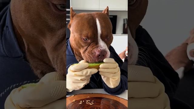 Оскар этому актёру 👏 смотреть онлайн