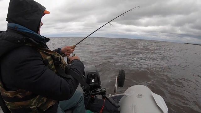 Gopro7. Ладога, южный берег смотреть онлайн