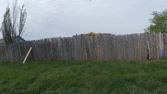 Уютное деревня в Марьяновском районе Омской области/Uytnoe village in Omsk region смотреть онлайн