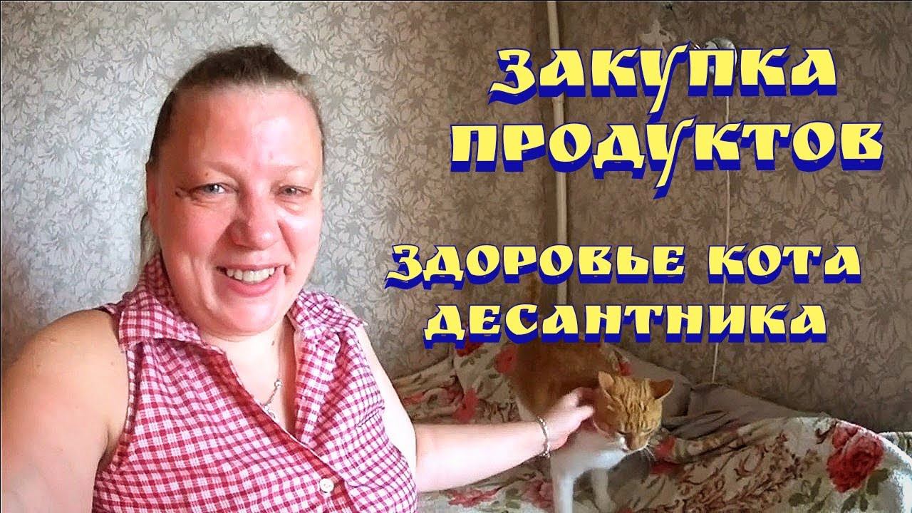 Цены на продукты / Цены на продукты в России / Покупки / Закупка продуктов / Светофор покупки смотреть онлайн