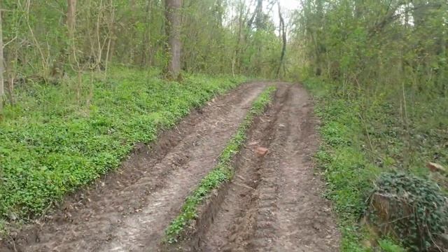 Заброшенный источник в лесу. Сербия. смотреть онлайн
