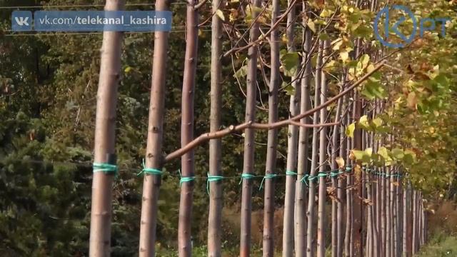 ПИТОМНИК РАСТЕНИЙ "БОТАНИКА" смотреть онлайн