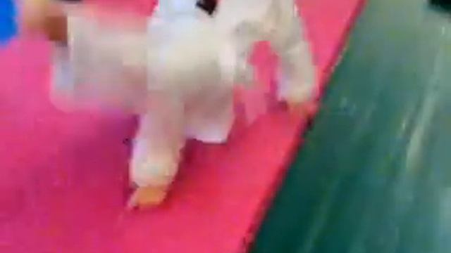 Каратэ: Вводный Курс Обучения