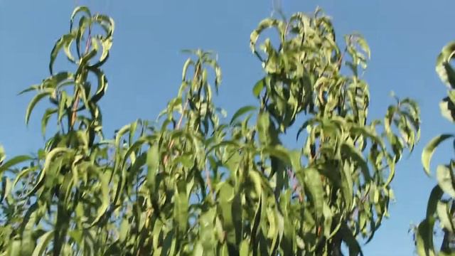 После мороза 2017 год смотреть онлайн