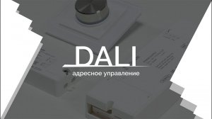 Видеоурок 2. DALI — адресное управление.