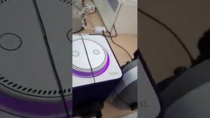 Игра с Крошем и Алисой в Яндекс станции