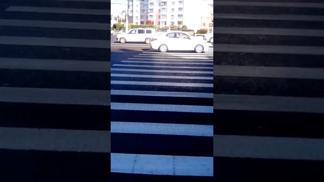 Для кого на сфетофоре горит зеленый свет. Воронеж. смотреть онлайн