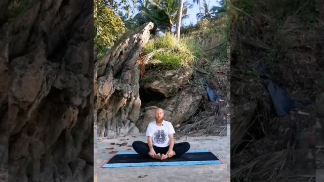 Комплекс базовых асан из положения сидя смотреть онлайн