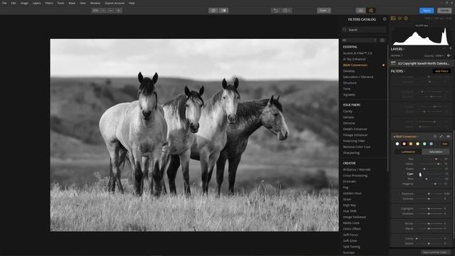 BW Conversion Filter with Luminar Flex смотреть онлайн