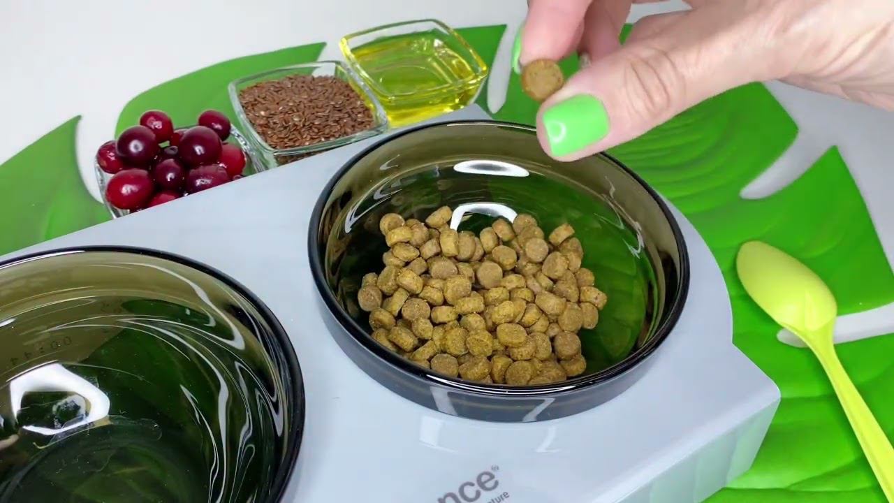 Корм для кошек PROBALANCE "STERILIZED" С КУРИЦЕЙ смотреть онлайн