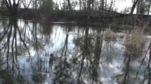 Рыбалка на карася, ловля  весной на пружины. My fishing