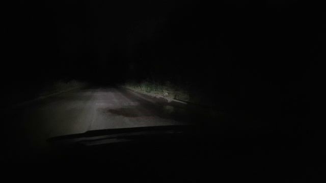 Светодиодные лампы H4 Toyota Carina 3 смотреть онлайн