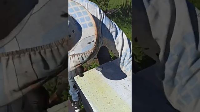 Շավել Գլիցերին մաս 2 ։шавел глицери часть2 смотреть онлайн