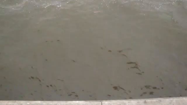 Пробую ловить таранку на набережной Ростова на Дону в марте 2021 года смотреть онлайн