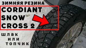 Зимняя шипованная резина Cordiant Snow Cross 2 (стоит на Киа Рио Х)