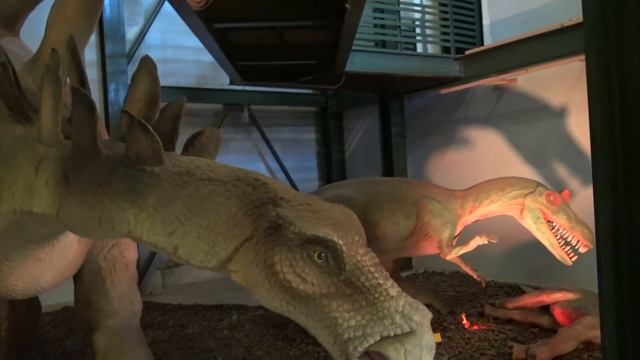 Греция Крит Ираклион Музей естествознания Куда пойти с детьми смотреть онлайн