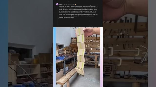 Апвоут Reddit смотреть онлайн