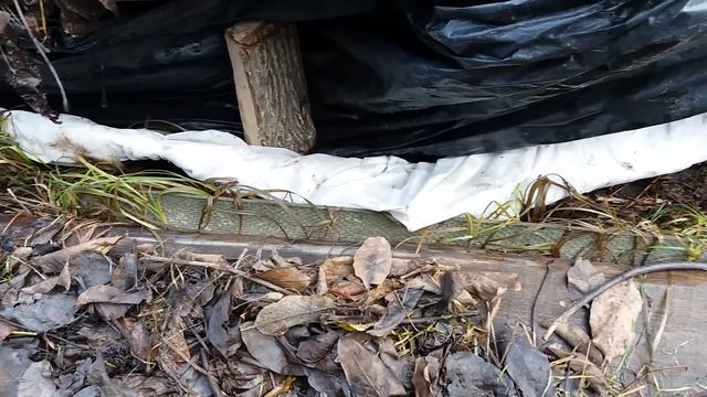 Аномально теплая зима 2017-2018г. на винограднике. Проветриваем лозы под пленочным укрытием. смотреть онлайн