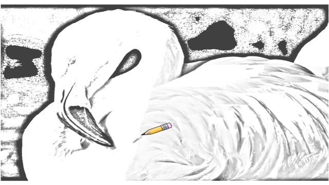 Auto Draw 2: Chilean Flamingo смотреть онлайн