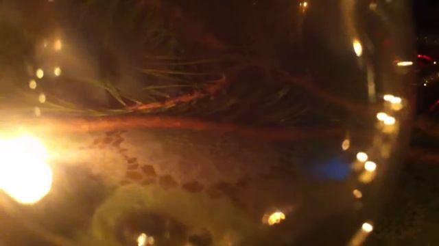 Моих рук дела,скоро новый год) смотреть онлайн