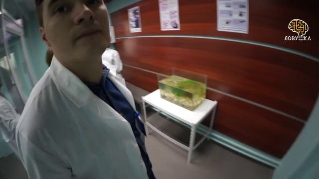 Квест по сериалу "Доктор Хаус", Новосибирск. Куда сходить в Новосибирске? Квест в реальности Ловушк смотреть онлайн