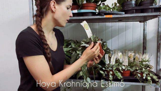 Dostawa Z NIESPODZIANKĄ Jakiej Się Nie Spodziewacie!😇