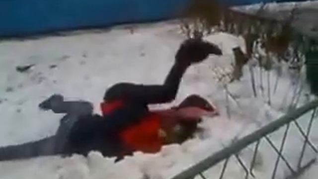 ПРОГИБ смотреть онлайн