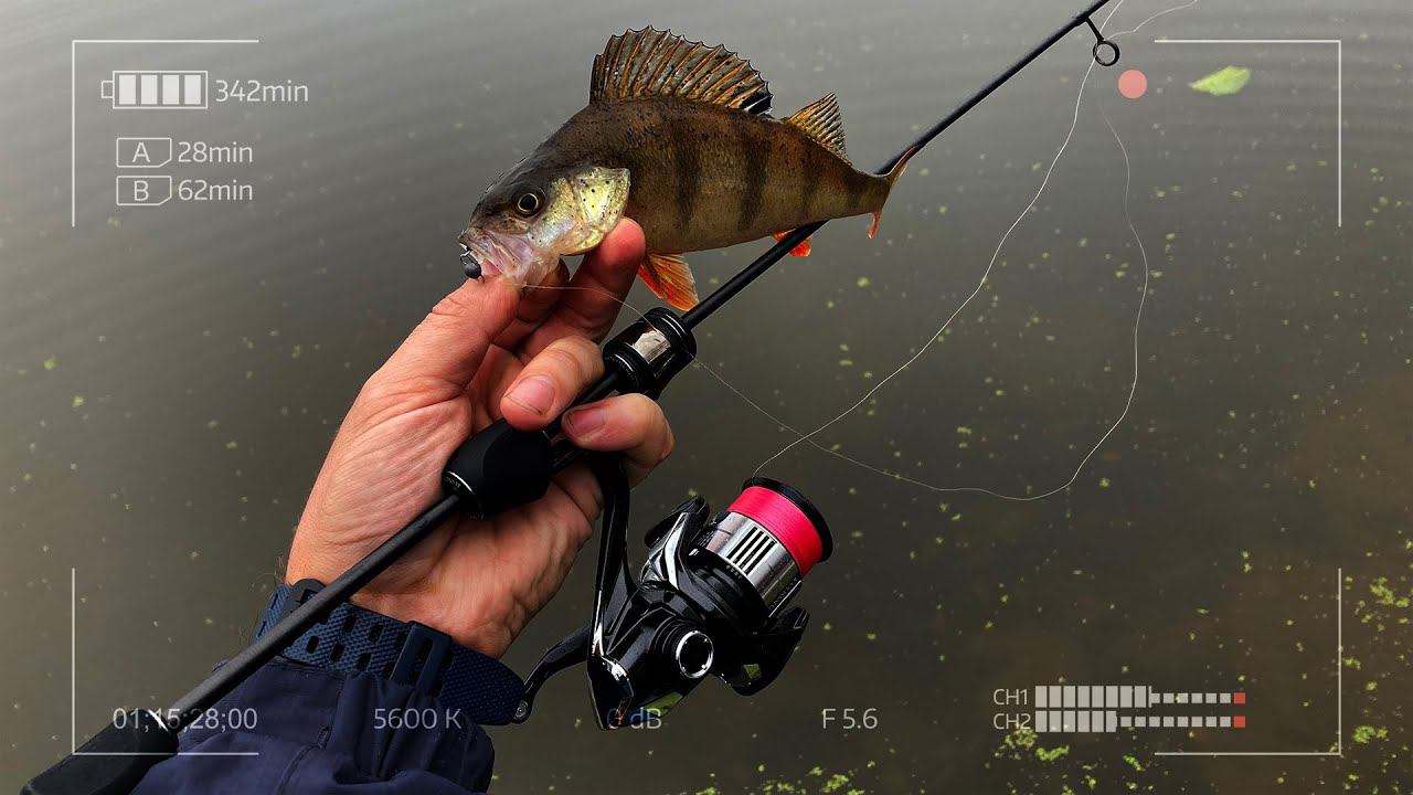 Снасти не для всех! Антинародный комплект для микроджига смотреть онлайн