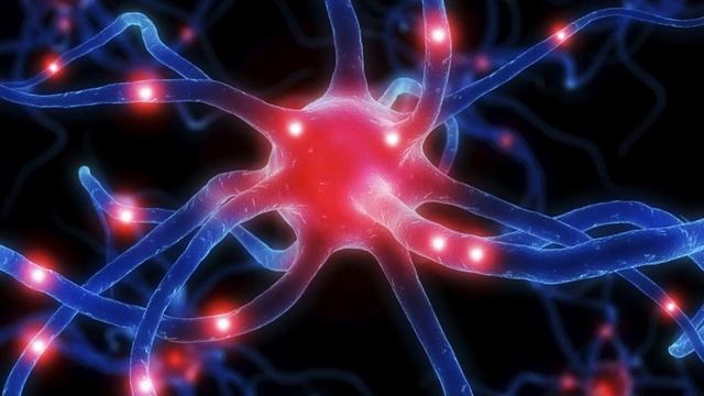 Этапы обмена веществ смотреть онлайн