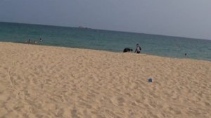 Yalong Bay Mangrove Tree Resort