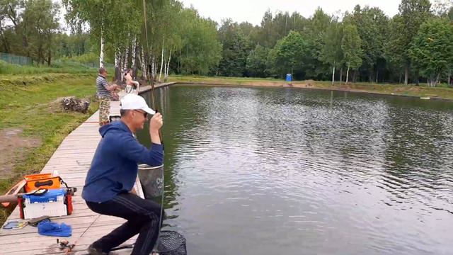 Хербуна кольцом. смотреть онлайн