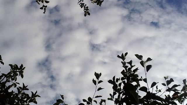 20240827_090931.mp4 смотреть онлайн