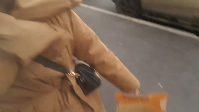 Выбираю ткани   mini VLOG