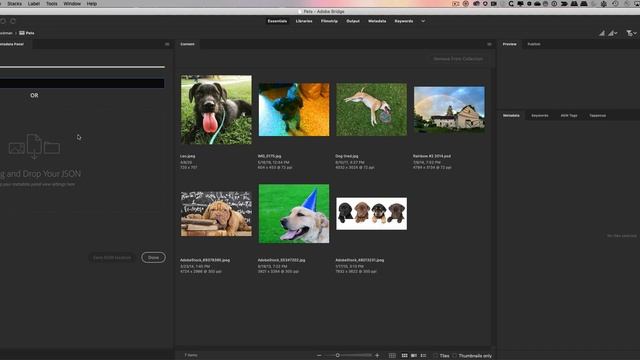 Custom Metadata Panel for Bridge Overview смотреть онлайн