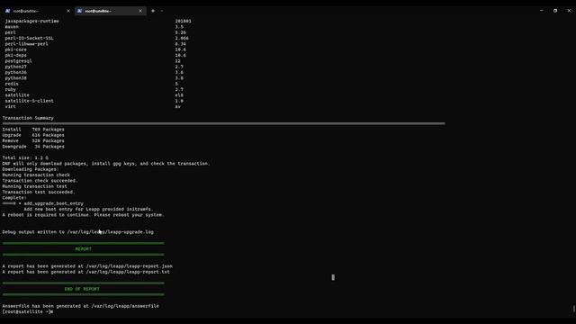 Upgrade RHEL 7 to RHEL 8 in place using LEAPP смотреть онлайн